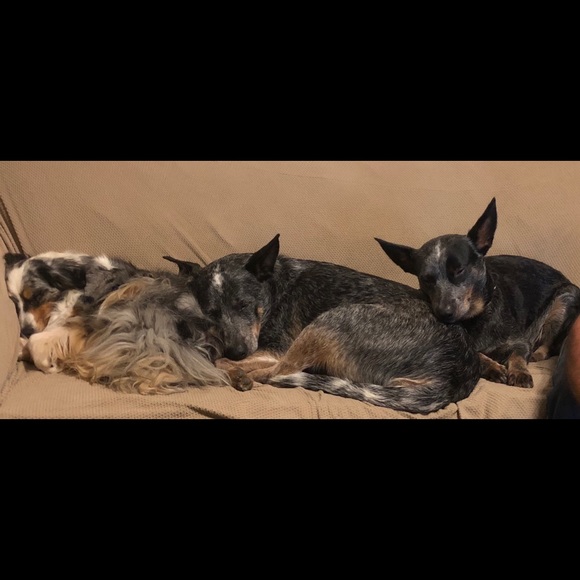 Meet your Posher, Consuelo - Picture 1 of 1